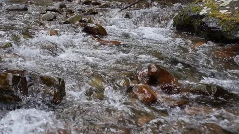 River rapids 3 by dwking Video stock 81409651