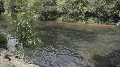 River Rapids 3 - Stromschnellen - Felds Thüringen Thuringia Video stock 41041340