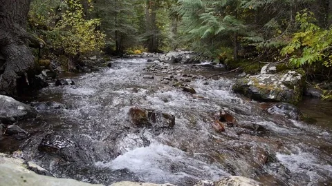 River rapids 4 by dwking Video stock 81409491