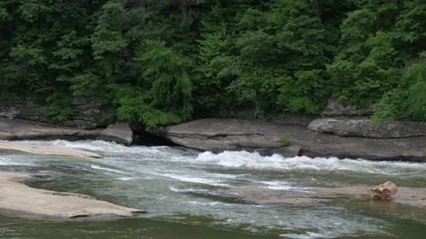 River with Rapids 4K 動画素材 155365493