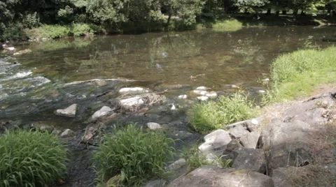 River Rapids 5 - Stromschnellen - River Fluss Felda Thüringen Thuringia Video stock 41041326