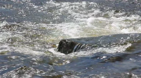 River Rapids and Current 스톡 동영상 52755993