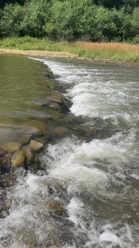 River rapids and small cascade over stones in forest landscape 4K vertical Stock Footage 341953838