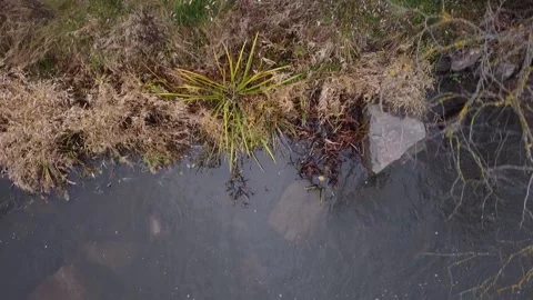 River rapids. Autumn. 90 Video stock 143506043