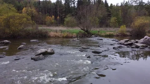 River rapids. Autumn. Video stock 143505905