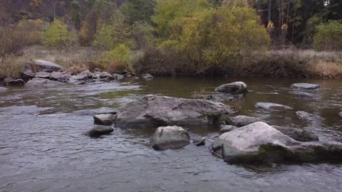 River rapids. Autumn. Stock Footage 143505986