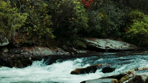 River Rapids in Autumn Stock Footage 220087184