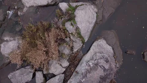 River rapids. Autumn. Low hight. Copter. Stock Footage 143505997