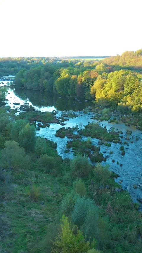 River with rapids. Beautiful fall nature by the river. Vertical video. Stock-Footage 288219452