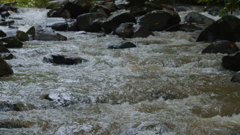 River With Rapids. Boiling Water Stock Footage 130247819