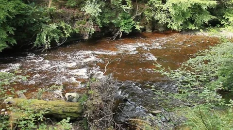 River rapids bridge of Allen Stirling City. Stock Footage 52250568