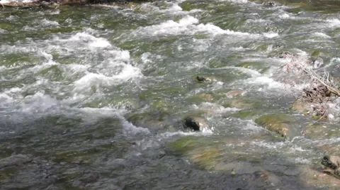 River Rapids Close Up Felda Thüringen Thuringia Stromschnellen Video stock 41040702