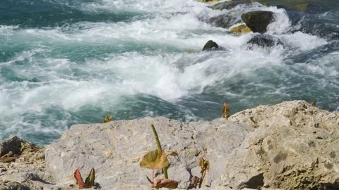 River rapids close up shot. Stock Footage 127960387