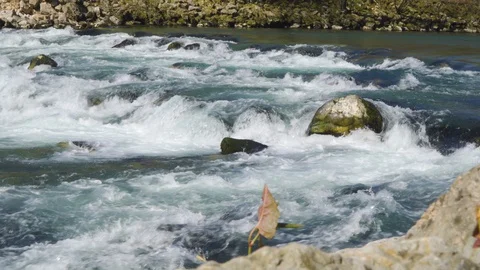 River rapids close up shot. Stock Footage 127961293