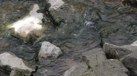 River Rapids Close Up - Stromschnelle - Felda Thüringen Thuringia Germany Video stock 41040810