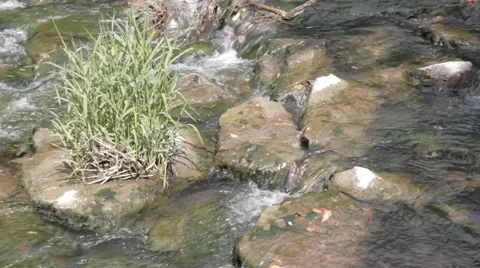 River Rapids Close Up - Stromschnelle - Fluss Felda Thüringen Thuringia Video stock 41041237