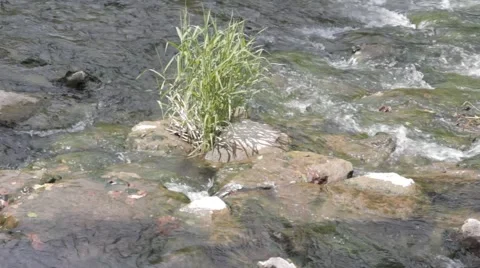 River Rapids Close Up Stromschnellen Fluss Felda Thüringen Thuringia Germany Video stock 41040672