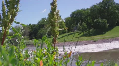 River Rapids at Dam, Ground Level Vidéo 11241392