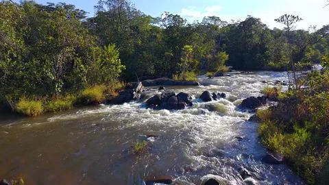 River Rapids Flowing Over Dark Rocks in Forest Stock Photos