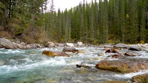 River Rapids flowing over rocks Video stock 307626673