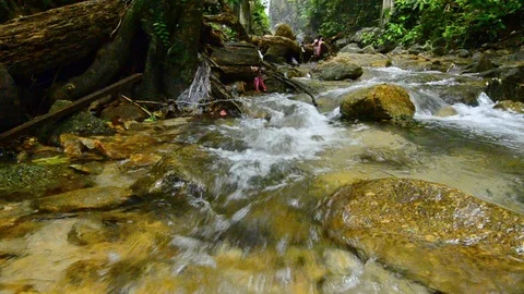 River rapids flowing through mossy rock Stock Footage 112691643