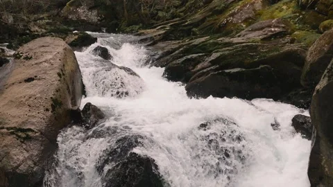 River Rapids Flowing Through Rocks In The Forest. - aerial pullback shot Stock Footage 305761701