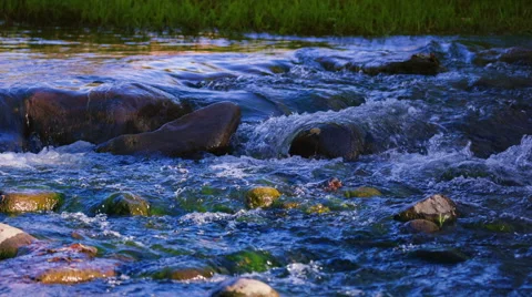 River rapids Vidéo 46057216