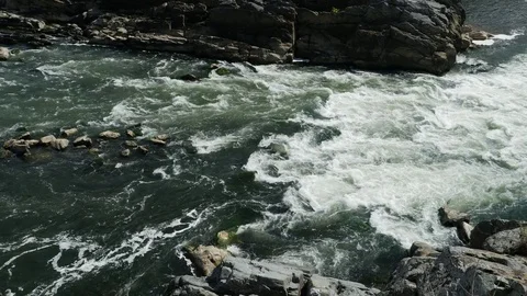 River rapids 스톡 동영상 81929418