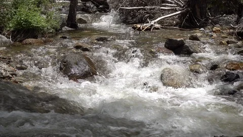 River rapids Stock Footage 94973004