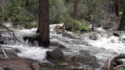 River Rapids Stock Footage 94973096