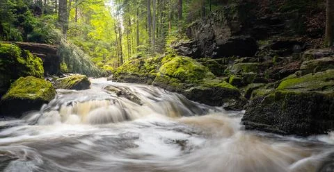River rapids in the forest, Doubrava river valley, Czech republic Stock Photos