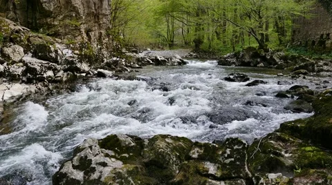 River rapids in green woods Stock Footage 62428942