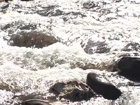 River Rapids-H.264 Stock Footage 378126