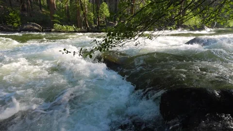 River Rapids in Merced River In Yosemite National Park. Slow Motion. Video stock 293990317