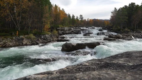 River rapids in the Norwegian wilderness Stock Footage 252013787