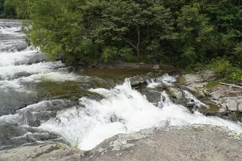 River rapids over rocks in forest. Stock Photos