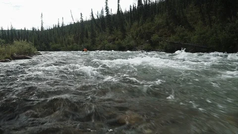 River rapids pass through a forested landscape Stock Footage 92366890