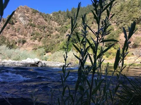 River Rapids Stock Photos