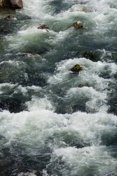 River rapids Stock Photos
