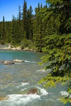 River With Rapids Foto stock