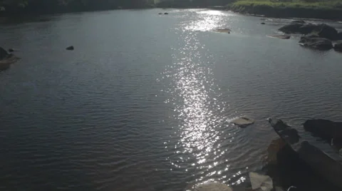 River Rapids at remote Guyana and Brazil wilderness Stock Footage 30678677