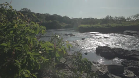 River Rapids at remote Guyana and Brazil frontier Stock Footage 30680007