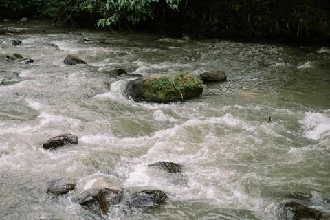 River rapids rush over mossy boulders, creating a dynamic waterscape Foto stock