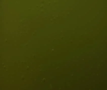 River rapids shot with underwater camera 스톡 동영상 21680294