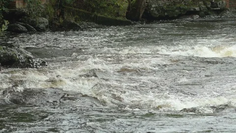 River rapids in slow-motion Stock Footage 88342257