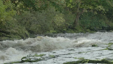 River rapids in slow-motion Stock Footage 88342278