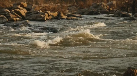 River Rapids at sunset Vídeo Stock 2565594