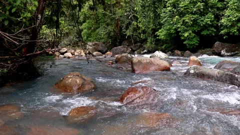 River rapids on very clear river in Costa Rica Video stock 274736661