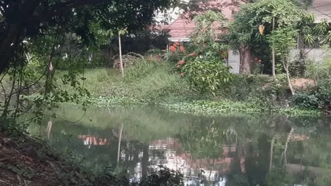 River of Real Estate Stock-Footage 339074217