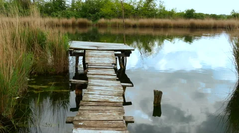 River reeds bridge Stock Footage 50060226